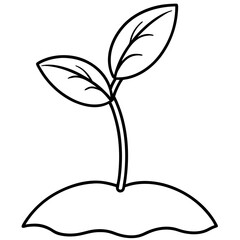 seeding plant outline coloring book page line art drawing