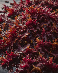 Dulse / Seaweed