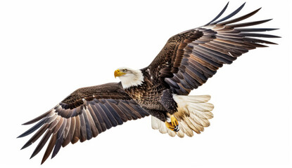 Obraz premium A bald eagle flying over an American flag on a white background.