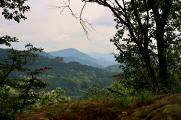 Aussicht vom Dimberg bei Dimbach in den nebligen Pfälzerwald in Richtung Lug und der Geiersteine im Sommer. Aussicht vom Premium-Wanderweg Dimbacher Buntsandstein Höhenweg. 