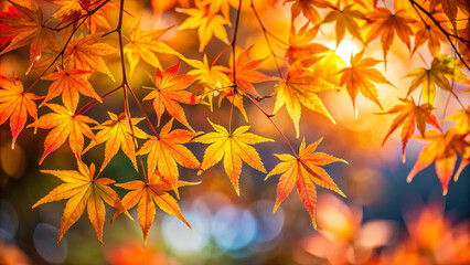 Fototapeta premium Beautiful maple leaves in autumn create vibrant display of orange and yellow hues, capturing essence of sunny day in natures embrace