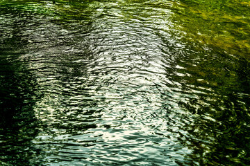 View of the water surface of the river Würm with intense green algae and plants