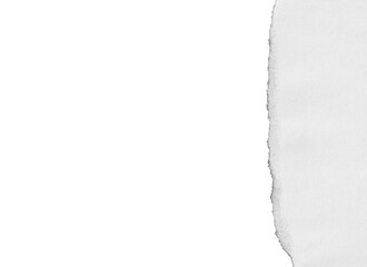 Obraz premium torn paper texture edge tear