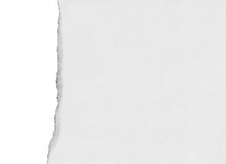 Obraz premium torn paper texture edge tear