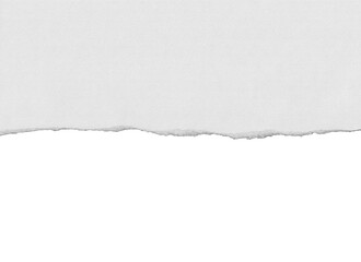 torn paper texture edge tear