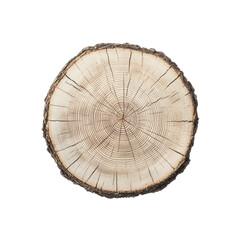 Fototapeta premium Tree Trunk Cross Section With Growth Rings