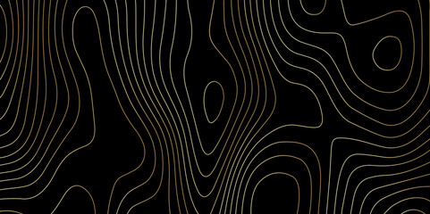Fototapeta premium Abstract wave paper curved reliefs background .gradient multicolor wave curve lines banner background design .topographic contours map background .Vector geographic contour map. 