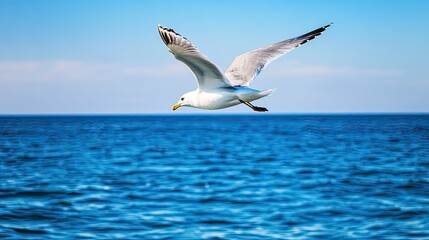 Obraz premium Seagull Flying Over Ocean