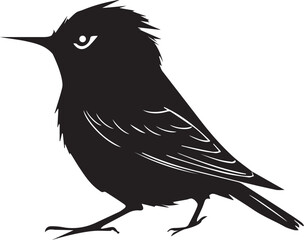 Sparrow bird vector design on a white background