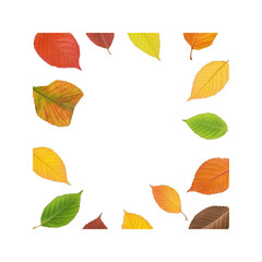 Autumn Leaf Border with Copy Space