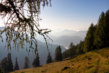Hiking path along alpine grassy meadow to mountain peak Latschur, Gailtal Alps, Carinthia, Austria. Alpine pine tree forest. Distant mountains shrouded in soft mist. Peaceful atmosphere Austrian Alps