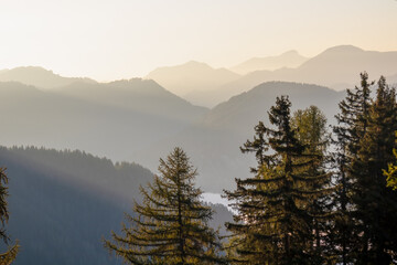 Serene mountain landscape at dawn in Gailtal Alps, Carinthia, Austria, Europe. Pine trees frame scene against morning sky. Distant peak Dobratsch in soft haze creating peaceful and serene atmosphere