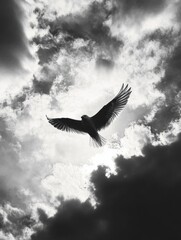 Obraz premium Bird in flight