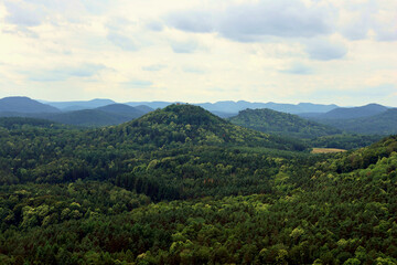 Fototapeta premium Aussicht vom Rötzenfelsen bei Dimbach in den Pfälzerwald im Sommer. Aussicht vom Premium-Wanderweg Dimbacher Buntsandstein Höhenweg.