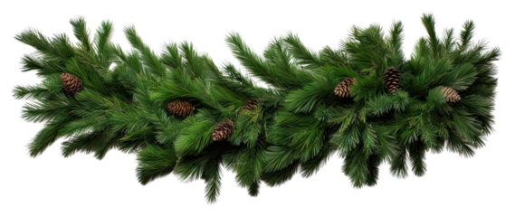 PNG Straight christmas tree pine garland plant fir white background.