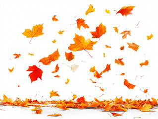Fototapeta premium Colorful flying autumn leaves isolated on white background