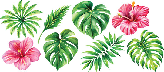 A set of exotic tropical leaves and flowers of plumeria hibiscus strelitzia