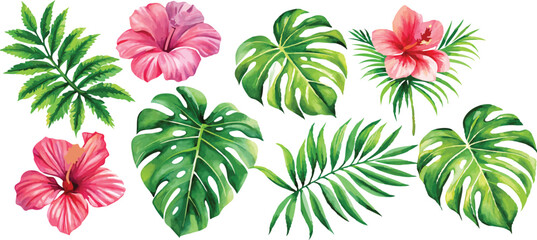 A set of exotic tropical leaves and flowers of plumeria hibiscus strelitzia