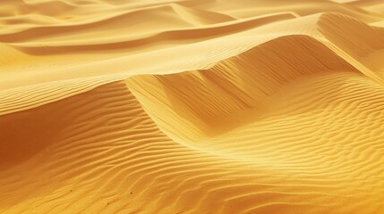 Golden Sand Dunes: A Desert Landscape Photography