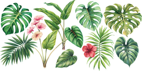 A set of exotic tropical leaves and flowers of plumeria hibiscus strelitzia