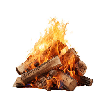Campfire burning wood Transparent PNG