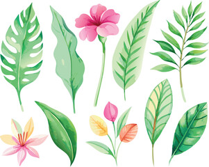 Fototapeta premium A set of exotic tropical leaves and flowers of plumeria hibiscus strelitzia