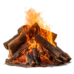 Campfire burning wood Transparent PNG