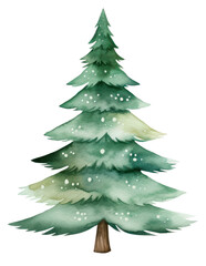 Fototapeta premium PNG Cute watercolor christmas tree illustration hand-painted decoration.