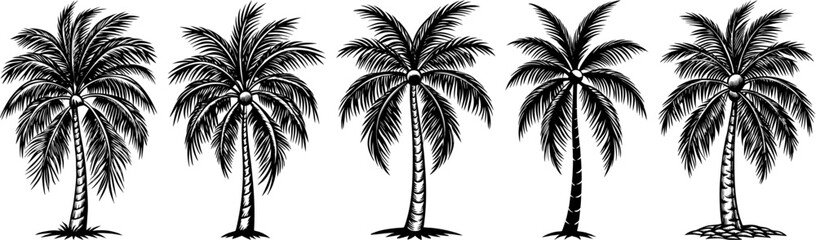 set of coconut tree