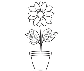 Flower in a pot cartoon flower illustration vector 