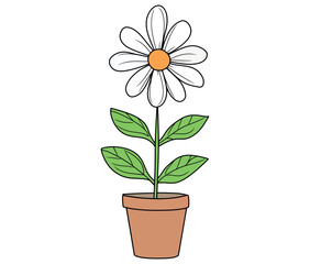 Flower in a pot cartoon flower illustration vector 