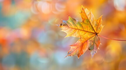 A leaf is suspended in the air, with a blurry background