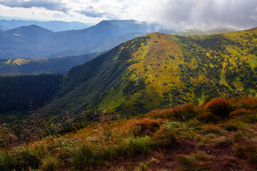 Naklejka premium Amazing view of Carpathian Mountains aroung the Hoverla mountain, Ukraine