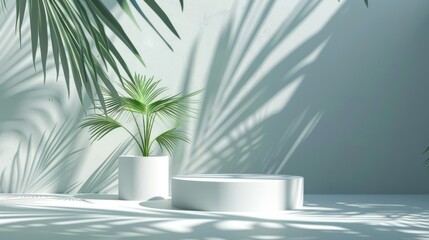Fototapeta premium Abstract 3D room, white cylinder podium, palm leaf shadows, modern and elegant product showcase