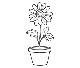 Flower in a pot cartoon flower illustration vector 