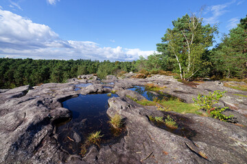 Marie Stuart point of view in The Franchard gorges. Fontainebleau forest