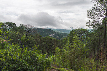 The landscape of Kasauli, Himachal Pradesh. Cloudy day, stunning view of wooden mountains and clouds.