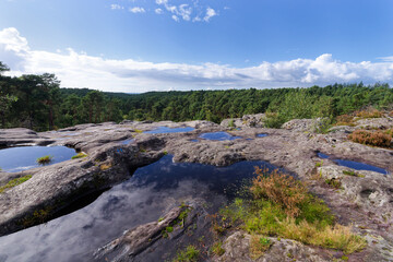 Marie Stuart point of view in The Franchard gorges. Fontainebleau forest