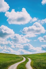 Fototapeta premium Grassy Roads