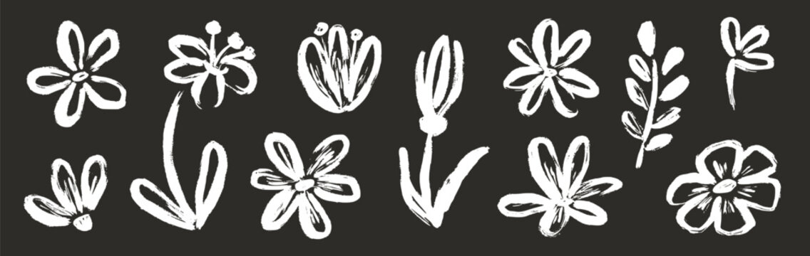 Flower abstract hand drawn brush chalk stroke. Sketch hand drawn silhouette floral plant, nature graphic leaf, floral grunge abstract brush. Vector simple flower on chalkboard. Vector illustration