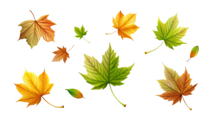 Maple Leaves falling, isolated png 
