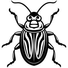  bug isolated on white
