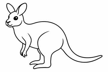 illustration of a kangaroo