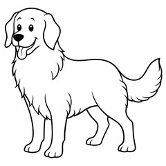 labrador retriever dog