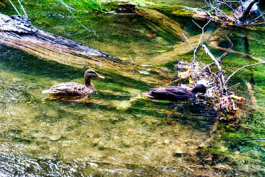 Hiking along the banks of the Bavarian River Wuerm