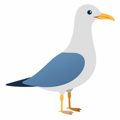 duck isolated on white background