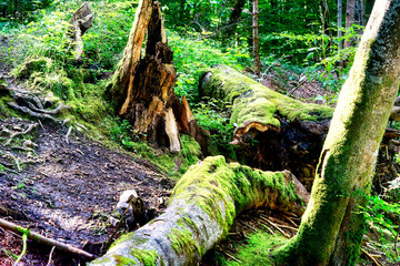 Hiking along the banks of the Bavarian River Wuerm