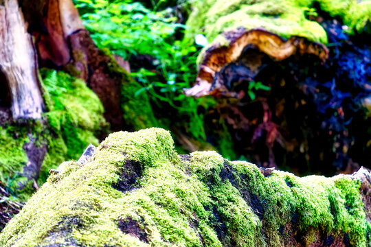 Hiking along the banks of the Bavarian River Wuerm