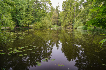 pond of the british botanical garden of Bratislava