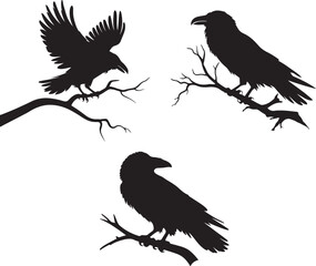 set of raven sitting on branch silhouette design vector art illustration